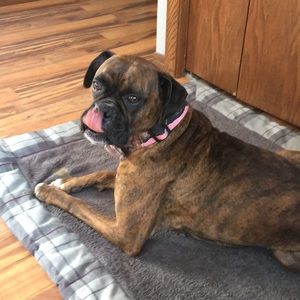 Meet your Posher, Sandy